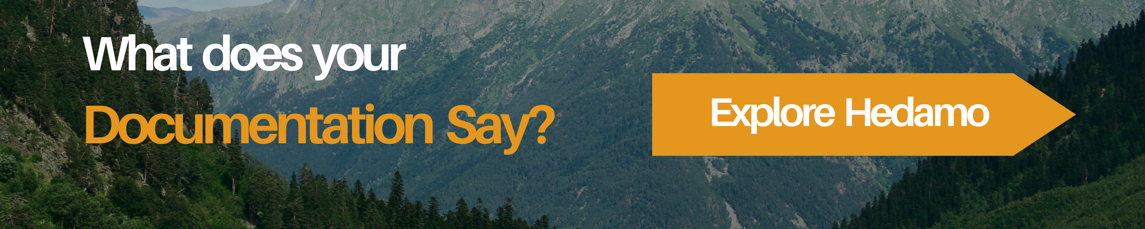 Hedamo Banner